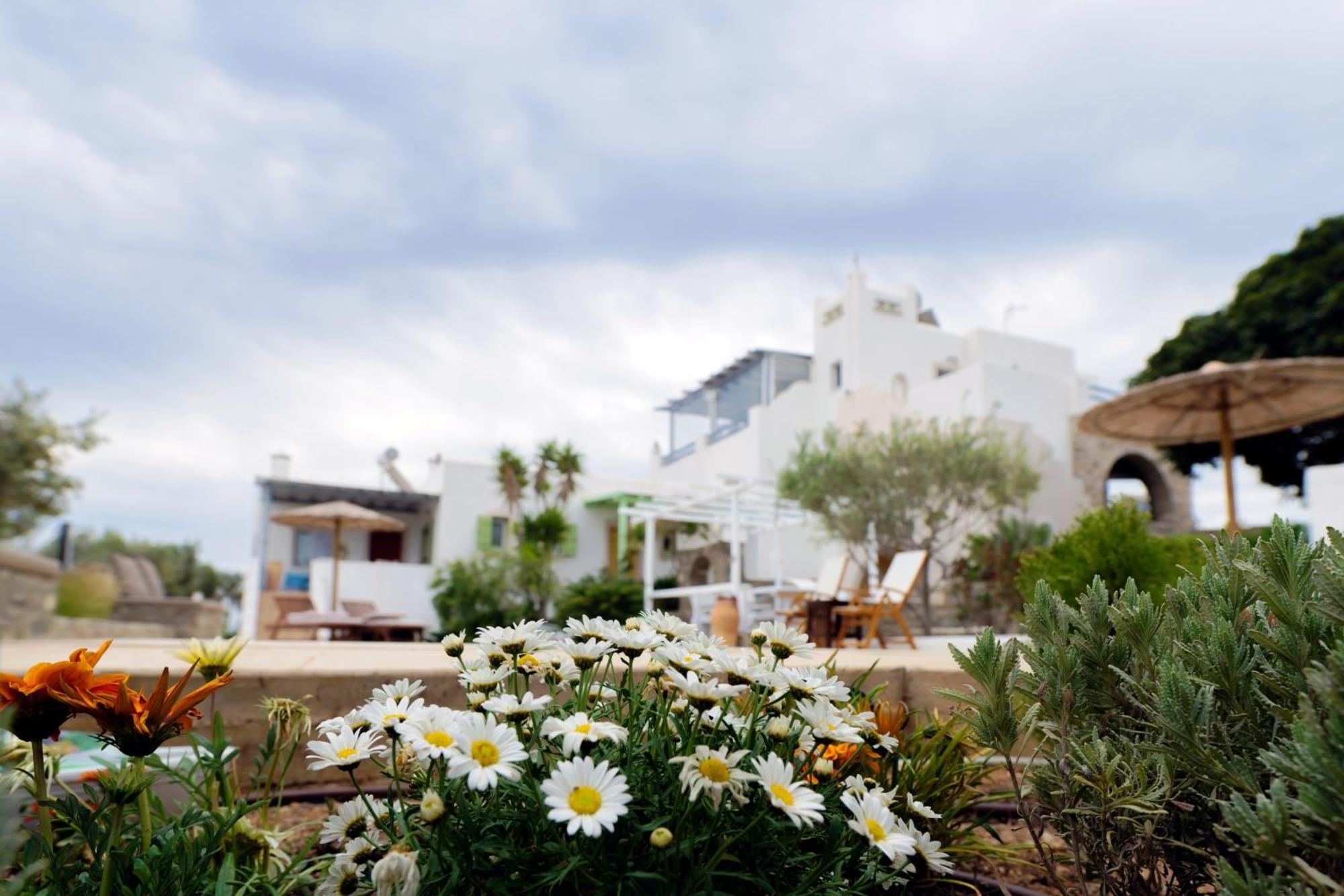 Callisto Houses Marpissa Exterior photo